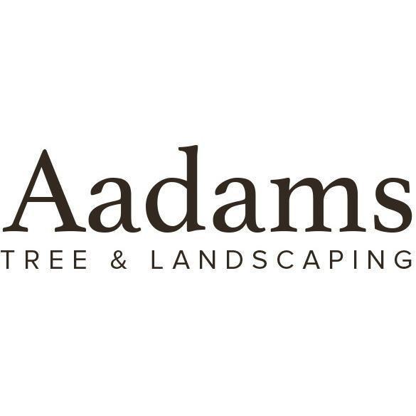Aadams Tree Service - Tree Removal, Trimming, Stump Grinding in Woodinville WA - Woodinville, WA 98077 - (425)657-5149 | ShowMeLocal.com