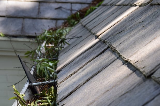 Images Window Hero Charlotte