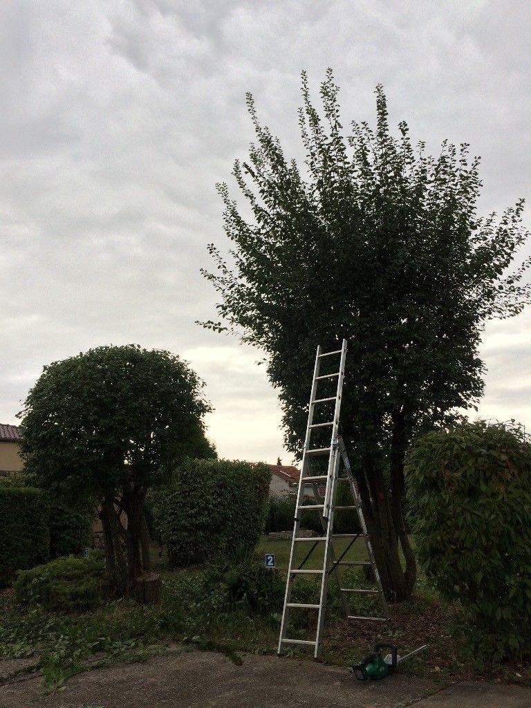 Ben's Hausmeisterservice, Bremer Strasse 4 in Erfurt