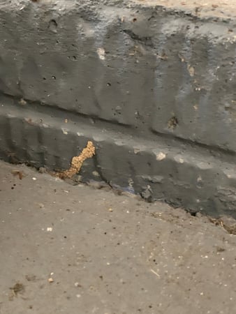 Images Precision Pest Control LLC