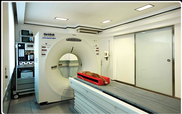 Tierklinik Dr. Krebitz GesnbR, Viktringer Ring 3 in Klagenfurt am Wörthersee