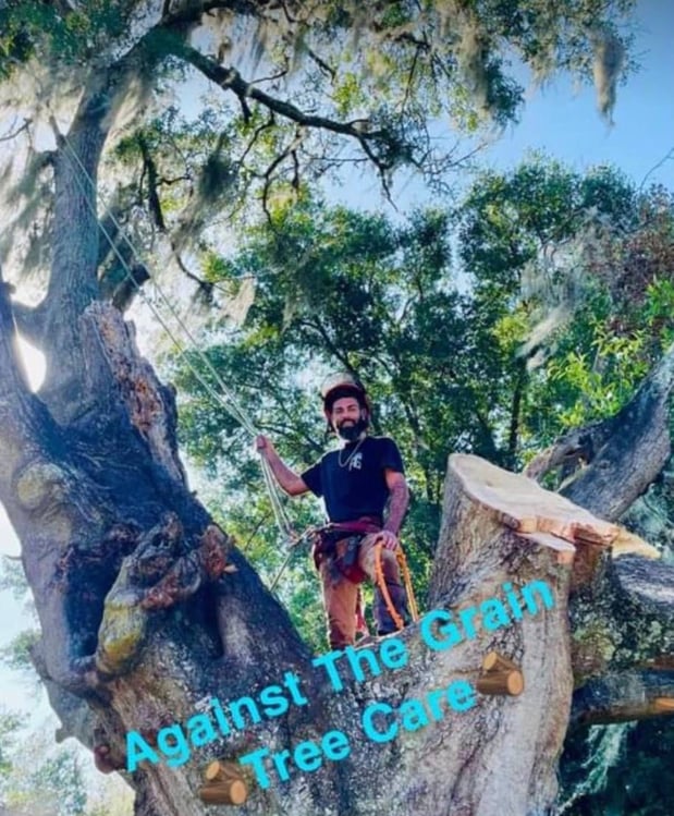 Images Against The Grain Tree Care