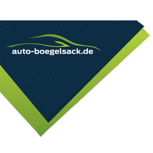 Fahrzeuge Bögelsack Service & Verkauf GmbH in Halberstadt - Logo
