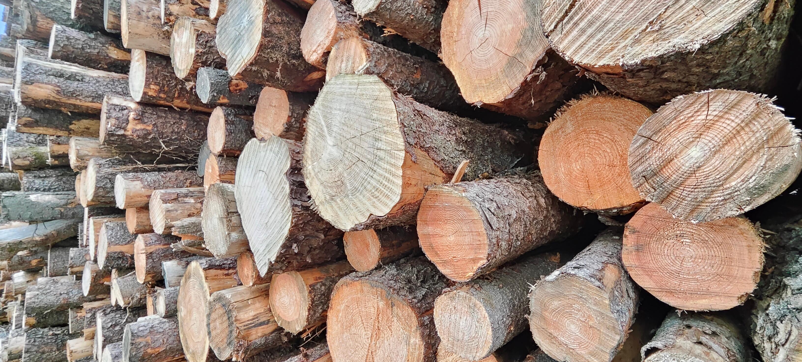 Images Log Club - Kiln Dried Logs