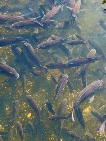 Images Brent Maudlin - State Farm Insurance Agent