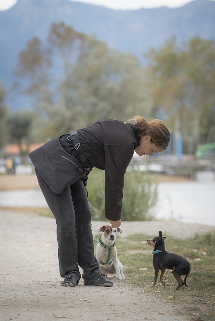 Bild 2 von Dogterei