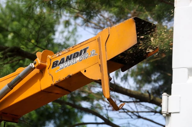 Images Brown's Tree Service LLC