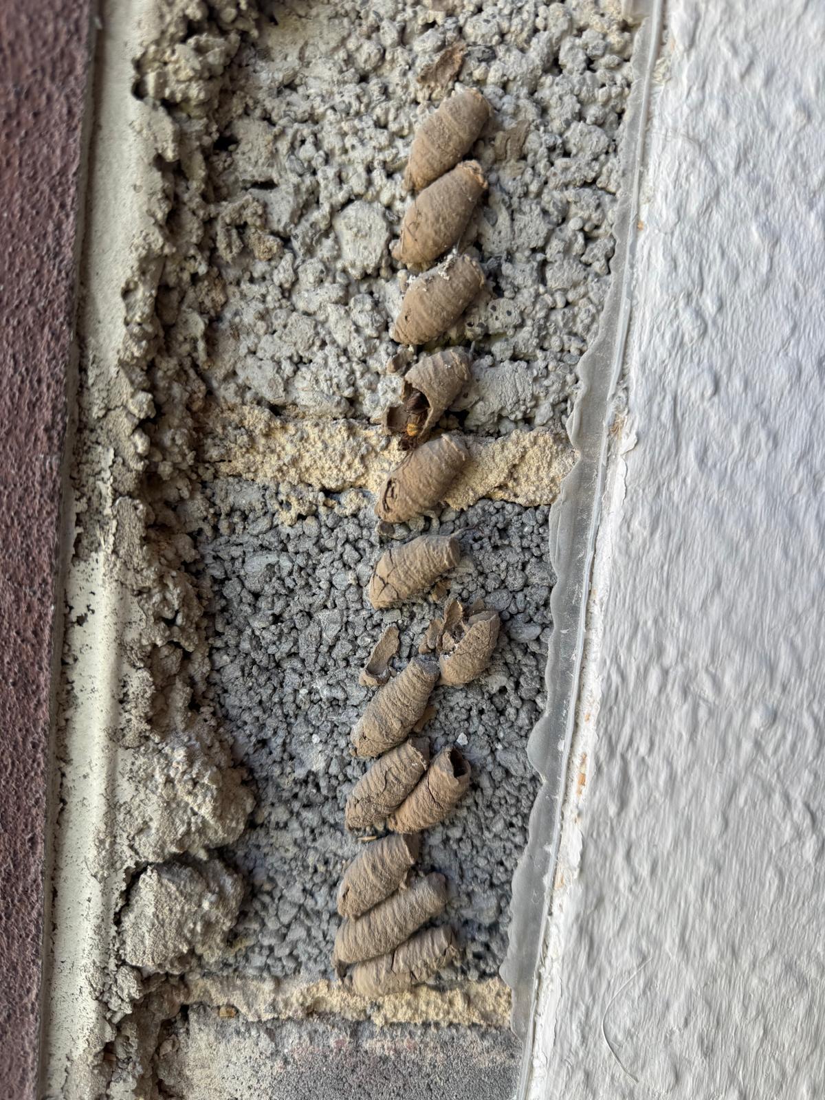 Bilder Parasitnix Düsseldorf