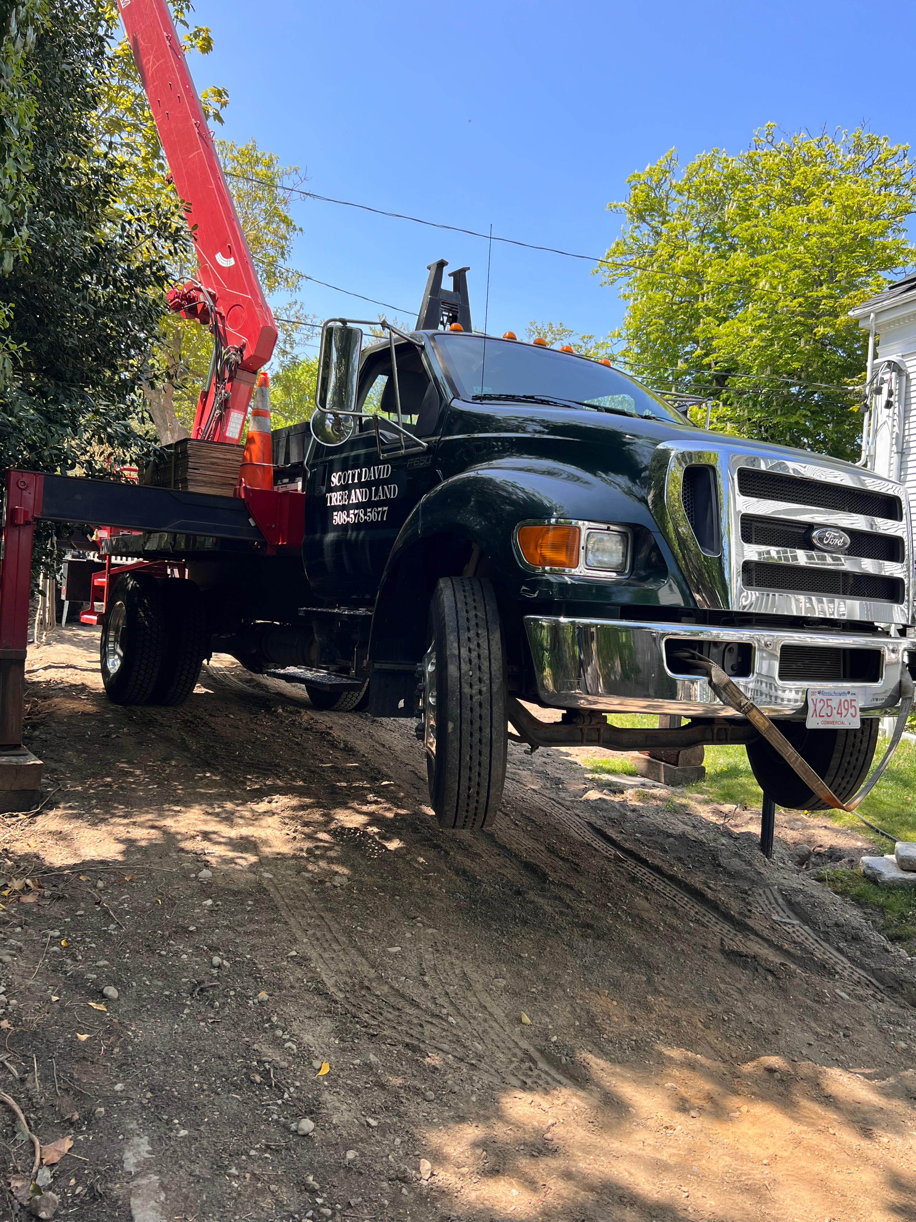 When you need a tree removed safely and efficiently, turn to Scott David Tree and Land. Our Tree Removal services in Vineyard Haven, MA, ensure that unwanted or hazardous trees are expertly taken down and responsibly handled.