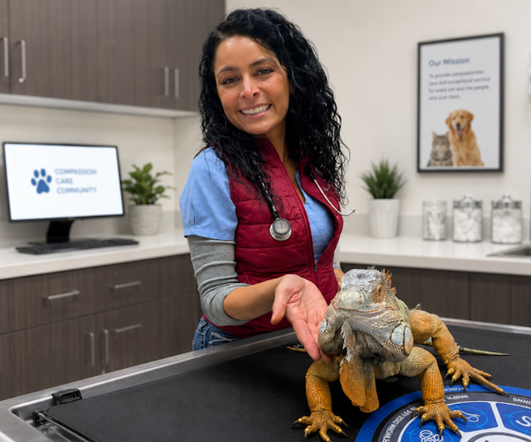 Dr. Dwyer with Field & Home Veterinary Care enjoys caring for a wide variety of patients, including  