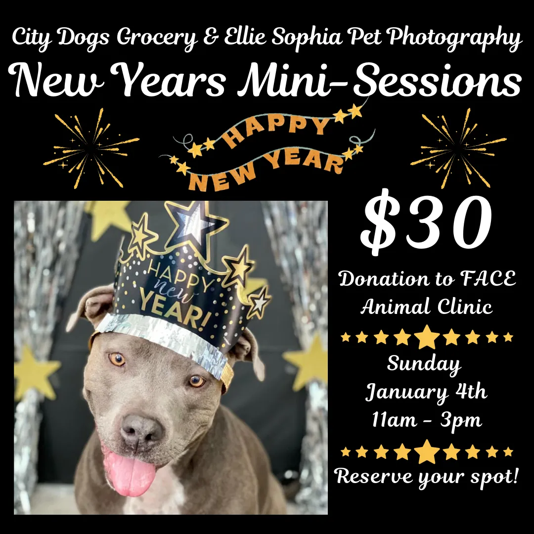 Image of Local Pet Event City Dogs New Years FACE Fundraiser Mini Sessions Nearby