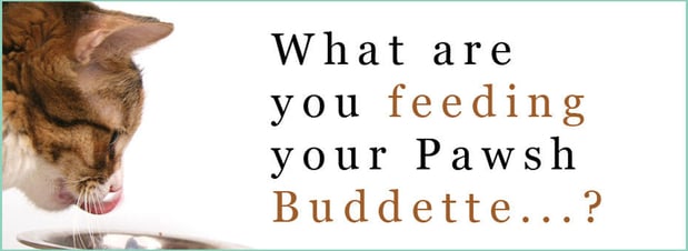 Images Pawsh Buddies