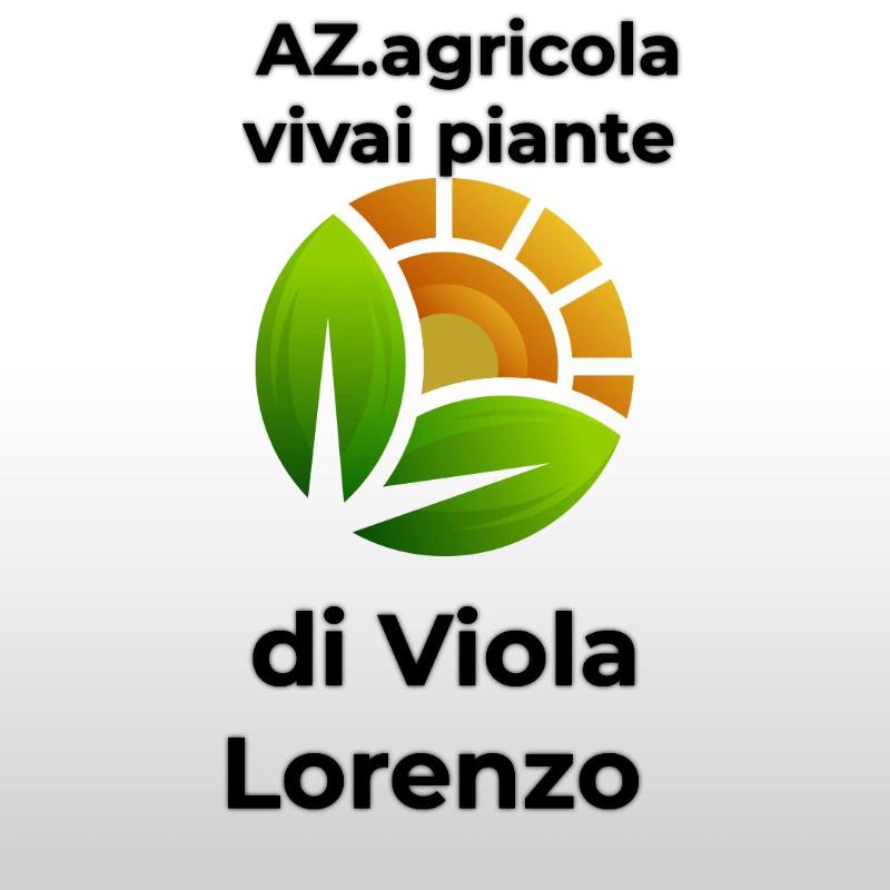 Images Viola Lorenzo Azienda Agricola Vivai Piante