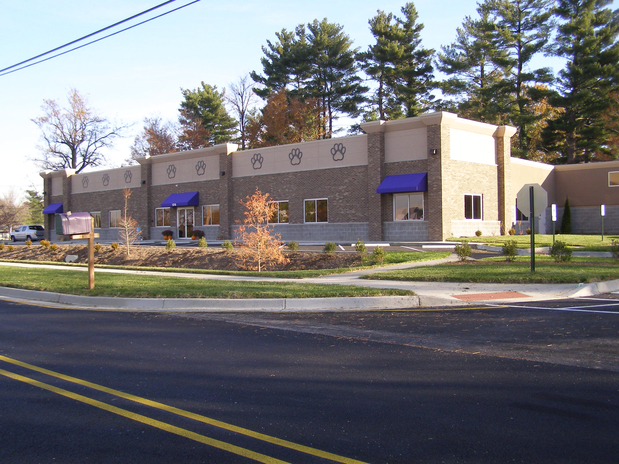 Images All Pets Veterinary Center