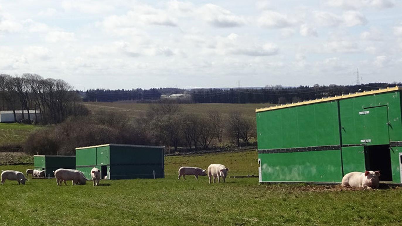 Images Vanggaard Staldmontage ApS