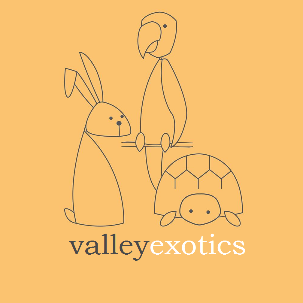 Valley Exotics Logo