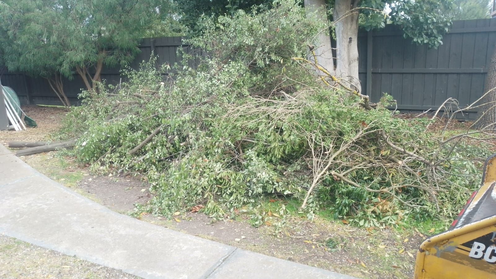 Images Mojo Tree And Stump Removal