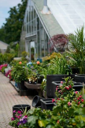 Images Mahoney's Garden Center