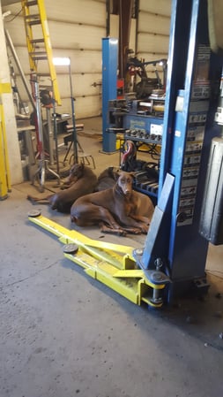 Images Prime Performance Auto Repair
