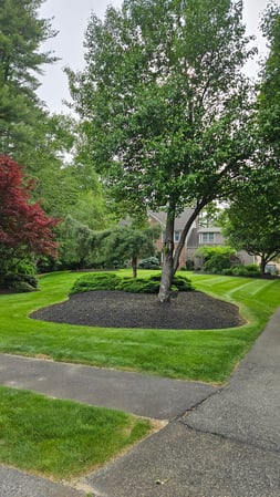 Images Ultra Landscaping LLC