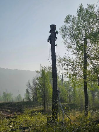 Images H & S Tree Care