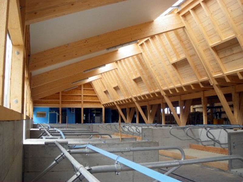 Bilder Heierli AG