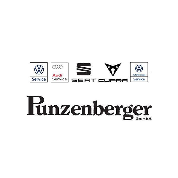 Autohaus Punzenberger GmbH Seat-Cupra, VW, Audi Logo