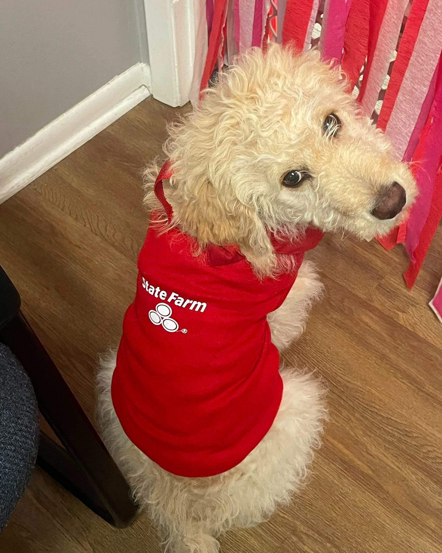 Kirby says it might be time for a second look at your auto coverage. If you are with another carrier, stop by or give us a call. We would love the opportunity to see how we can help with your insurance needs.
