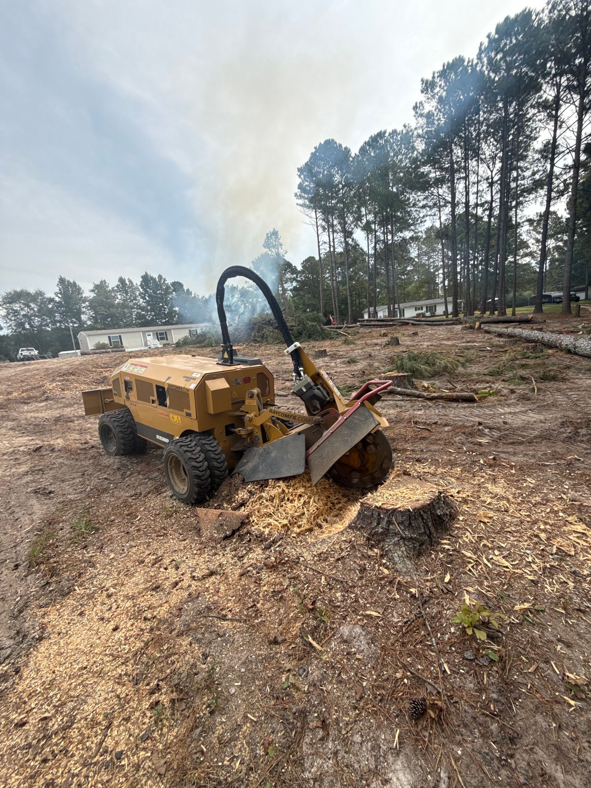 Wades Tree And Stump Removal Image