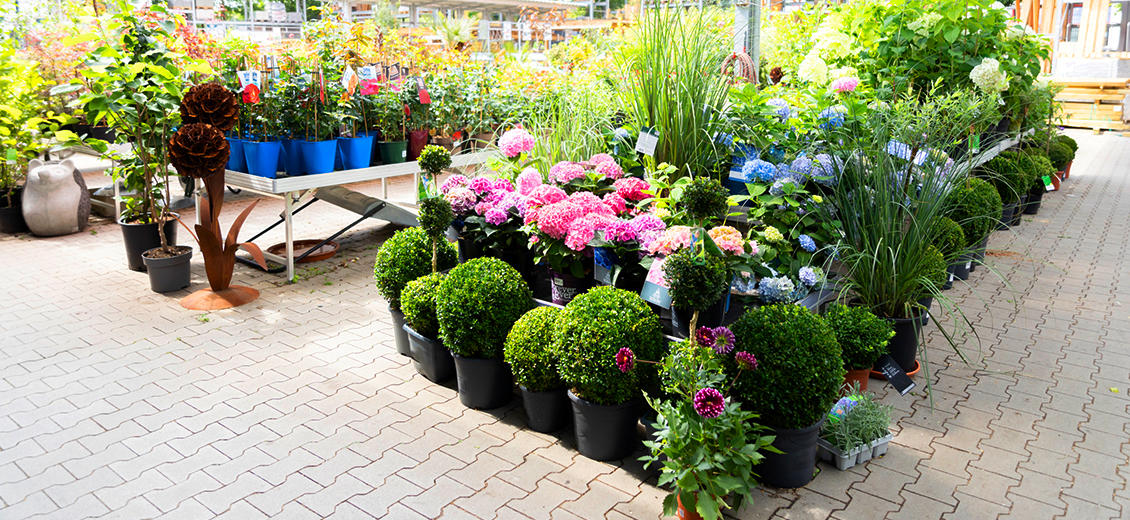 Fotos - OBI Markt Bad Hersfeld - 18