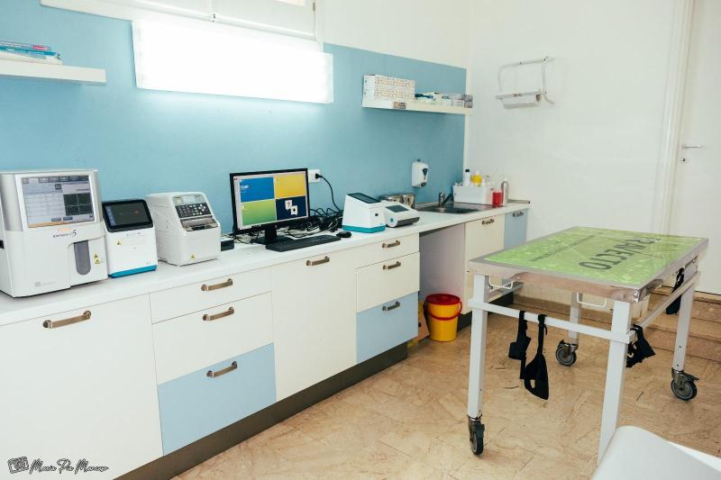Images Clinica Veterinaria Citta' di Trapani