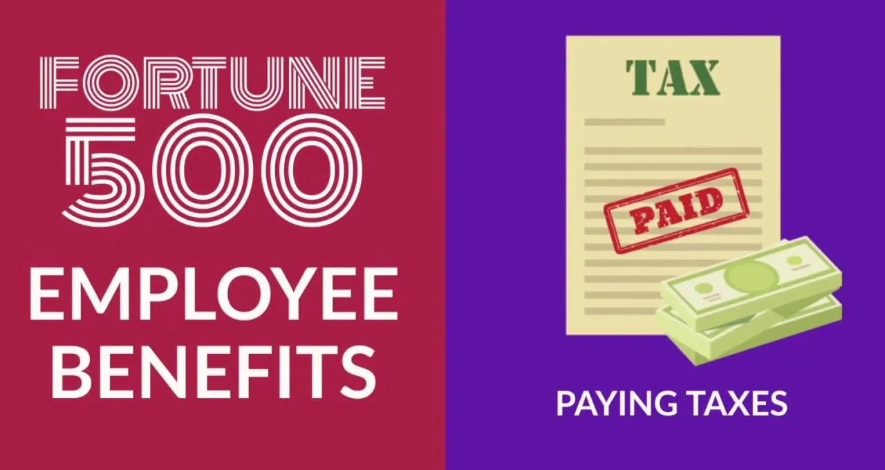 The image is divided into two halves. The left side, on a magenta background, features the text "FORTUNE 500" in white, stylized with concentric circles and lines, followed by "EMPLOYEE BENEFITS" in larger white text. The right side, on a purple background, displays an illustration of a tax document with a red "PAID" stamp and a stack of green banknotes. Below this illustration, the text "PAYING TAXES" is written in white.