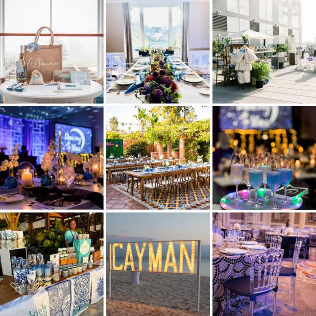 Images Miller Tanner Associates