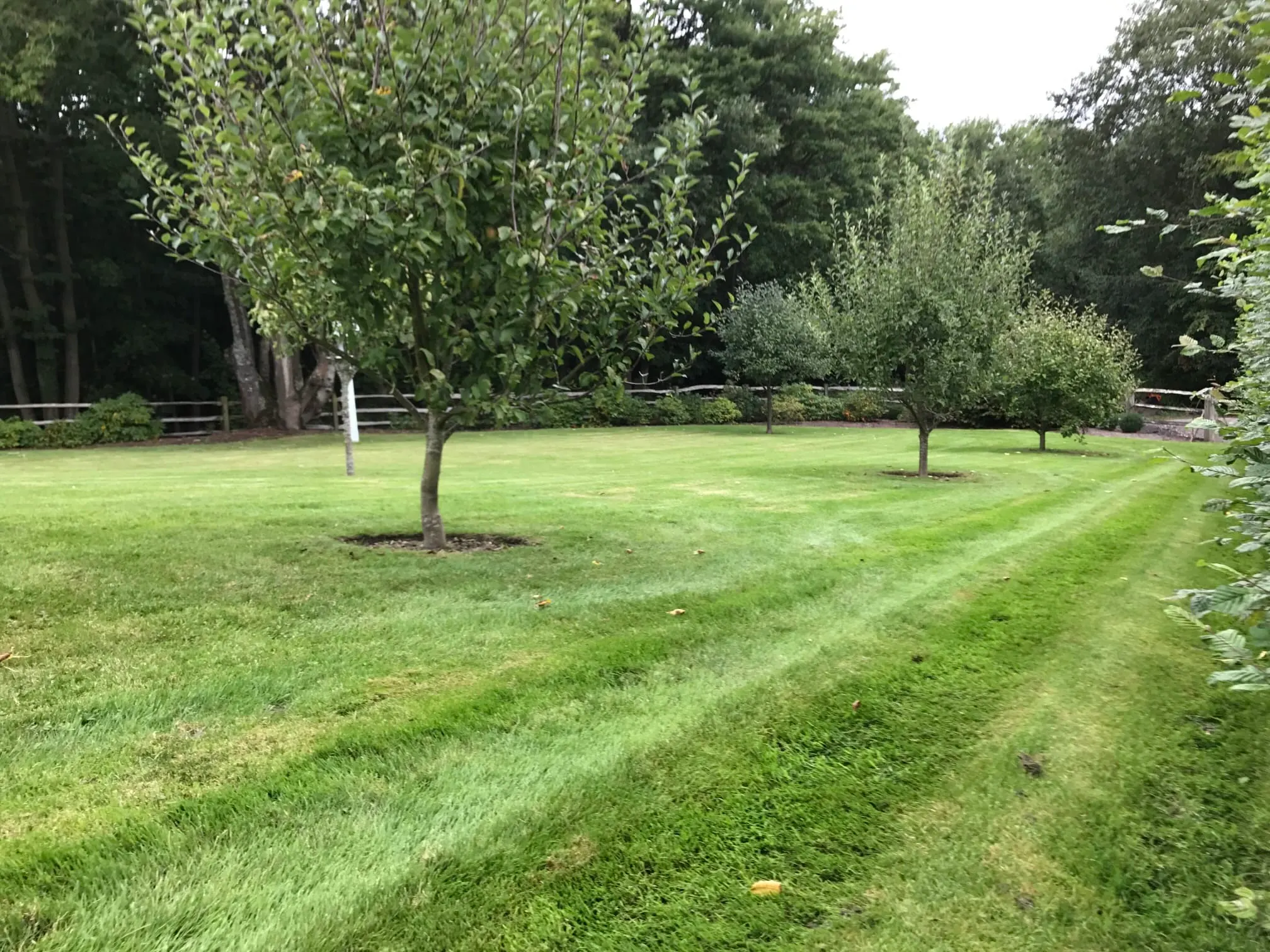 Images Prostyle Gardening & Home Services