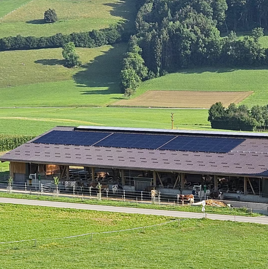 Bilder Reusser Dach + Fassaden AG