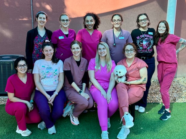 Images VCA Preston Park Animal Hospital