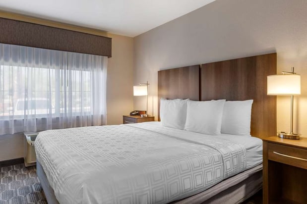 Images Best Western North Phoenix Hotel