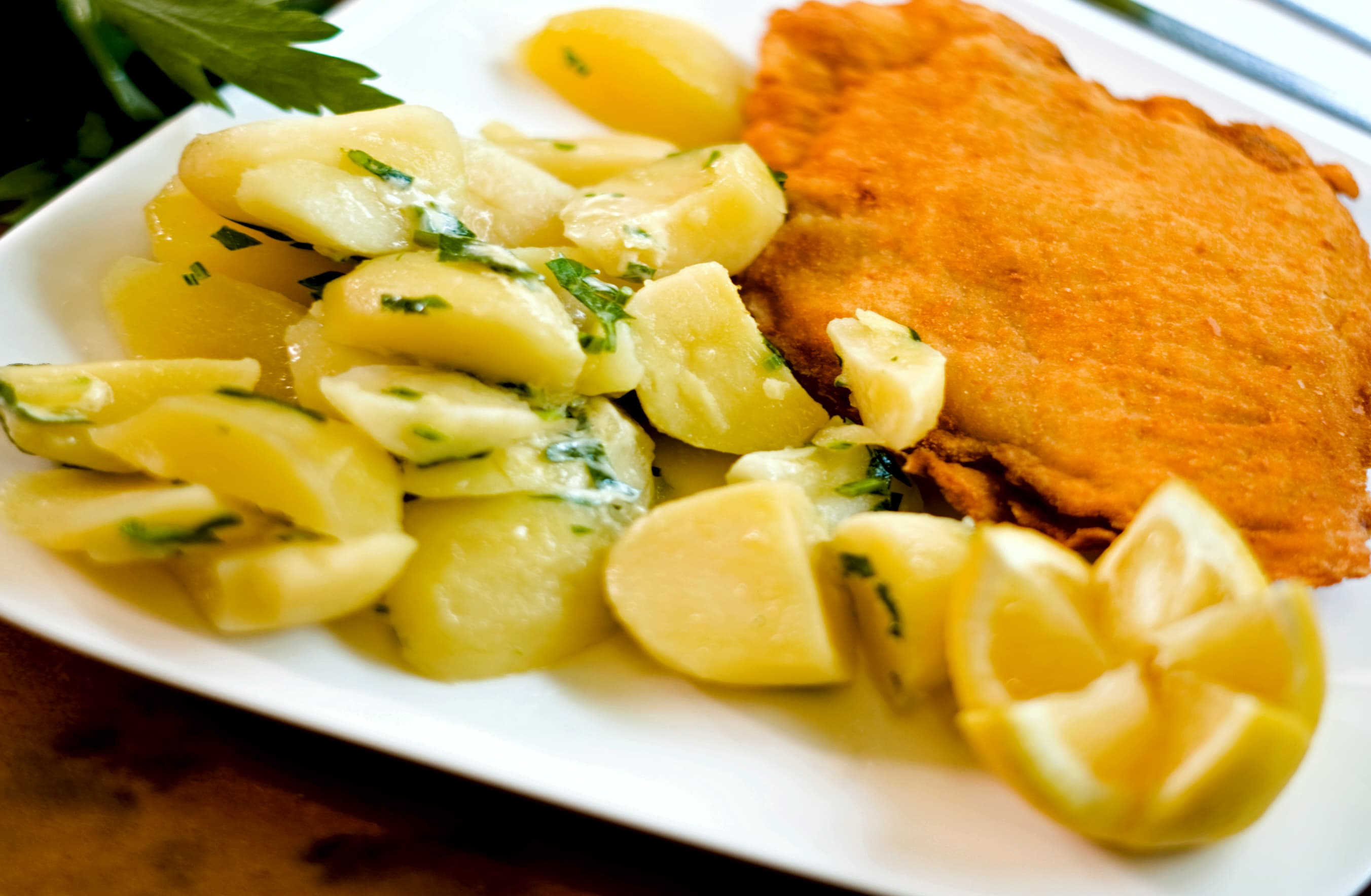 Bild 33 von Wiener Schnitzlplatzl