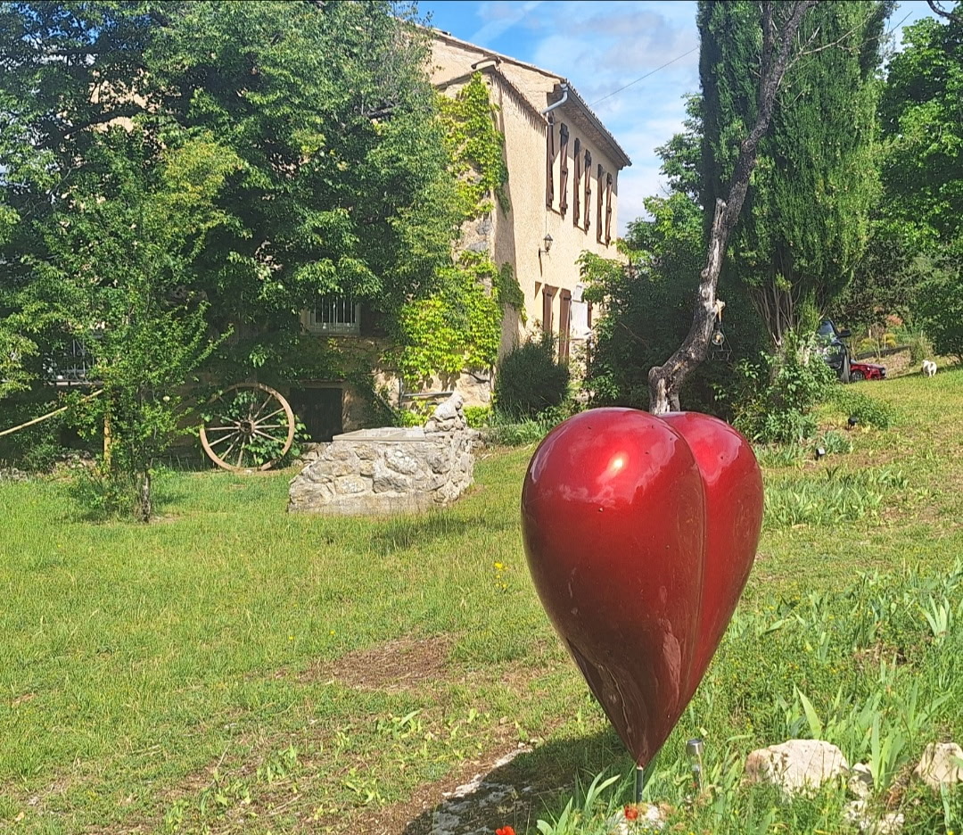galerie image