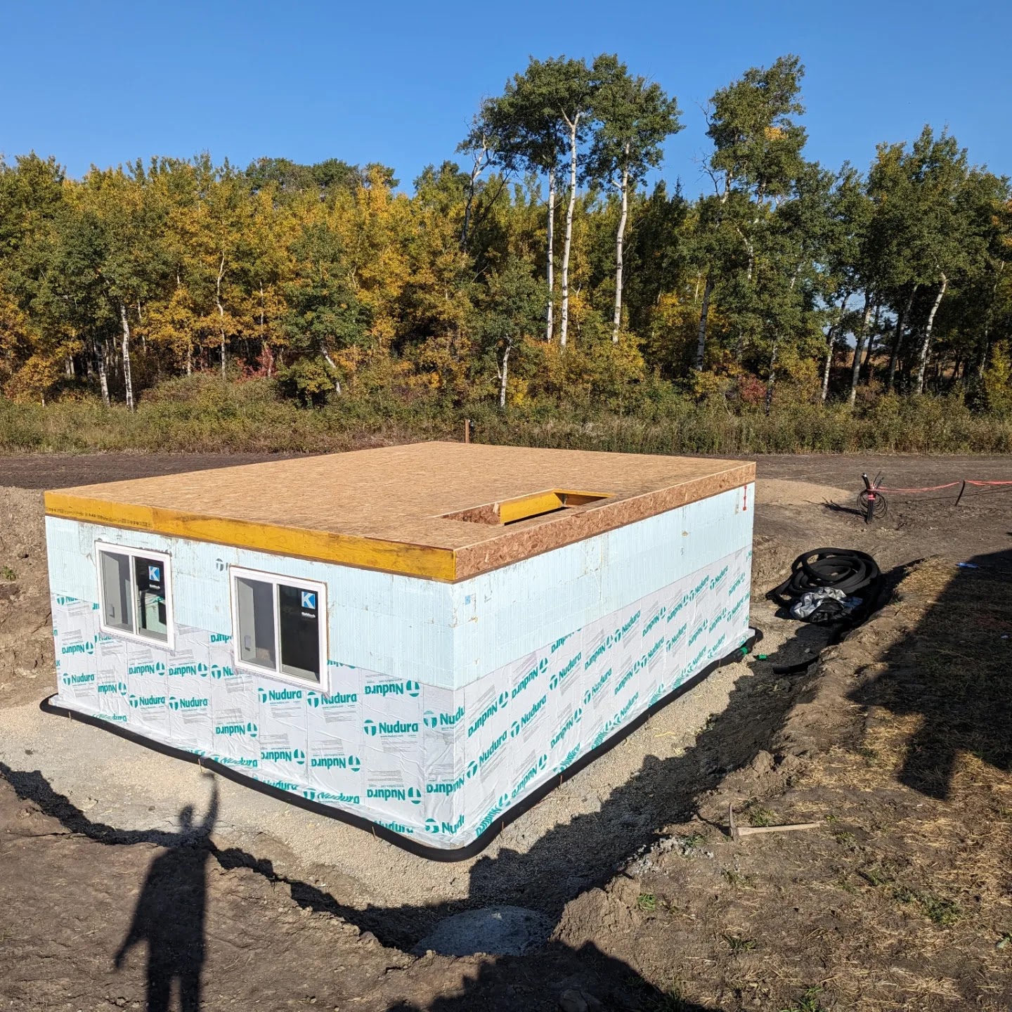 Images The Blue Spruce Builder