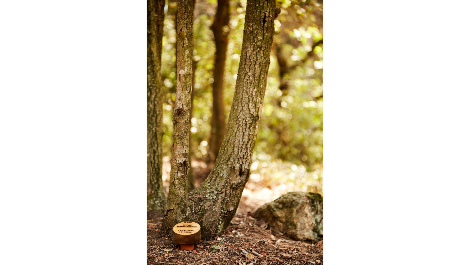 Cementiri Comarcal Roques Blanques 42