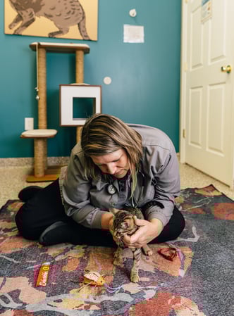 Images PetVet365 Pet Hospital Louisville / Jeffersontown