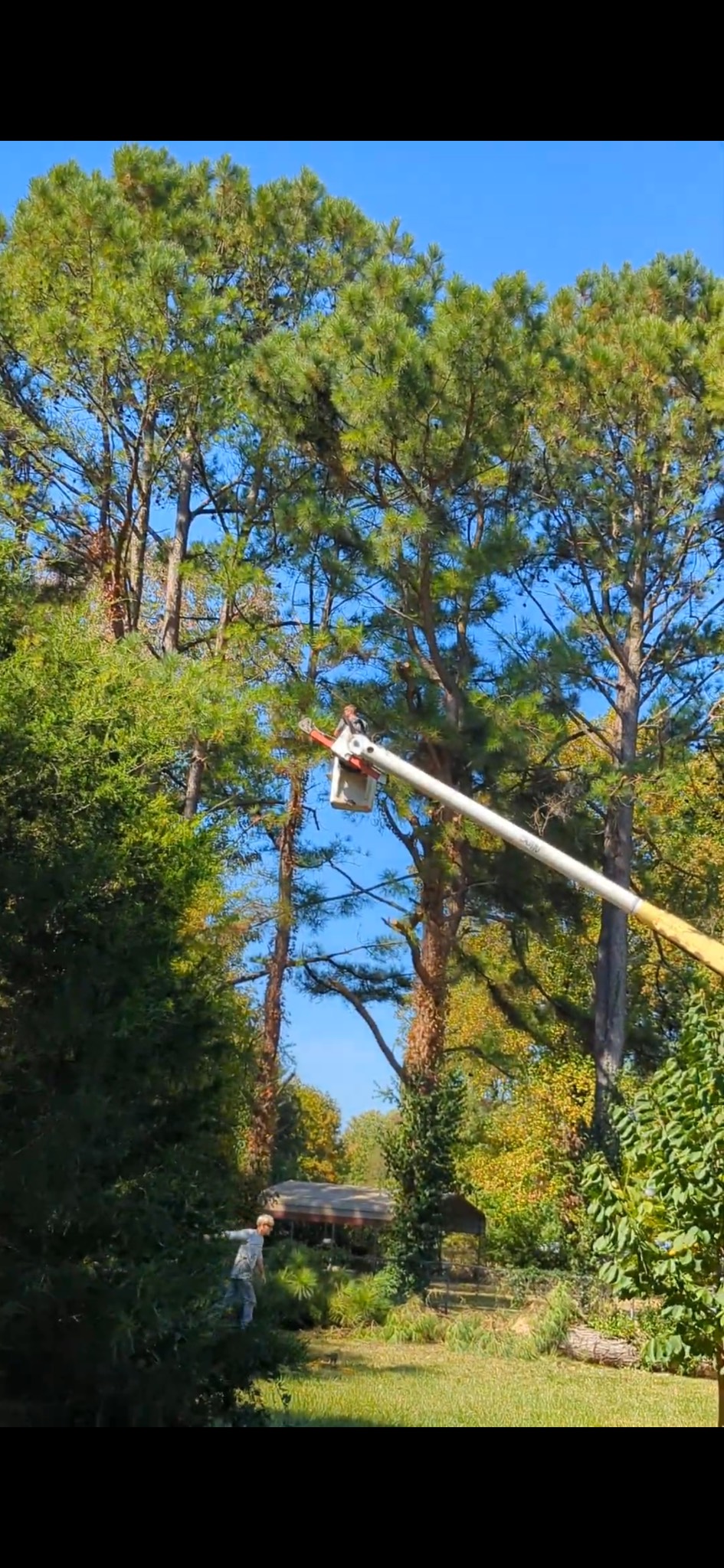 R and A Tree Service Inc Image