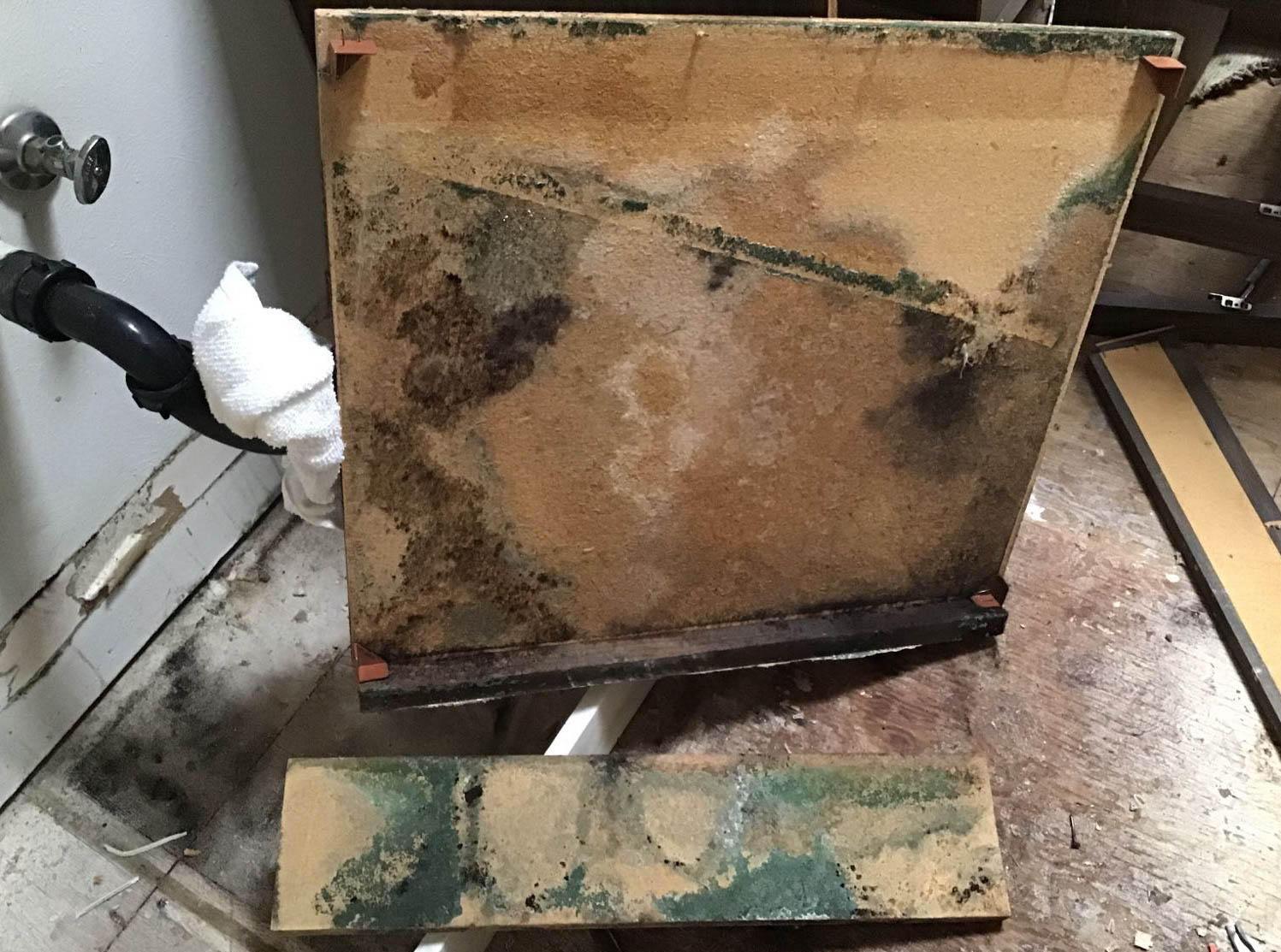 SERVPRO of Firestone /Platteville is a qualified company that can help you with mold damage cleanup and remediation in Frederick, CO. Give us a call!