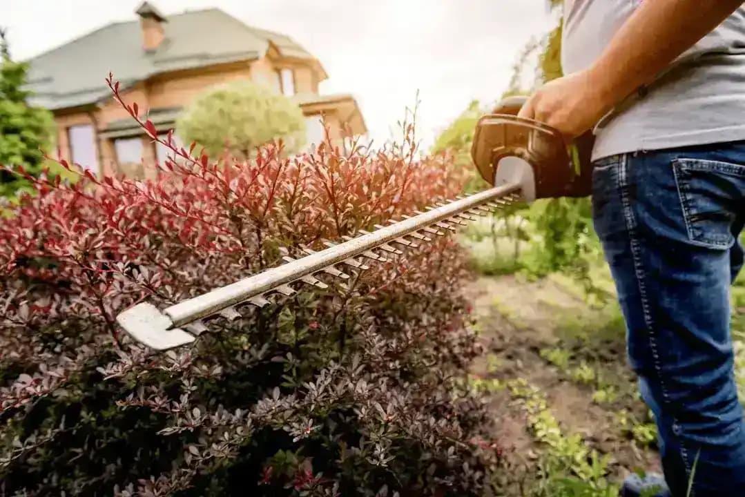 Bild 3 JustSec Gebäudeservice - Entrümpelung & Haushaltsauflösung Duisburg in Duisburg