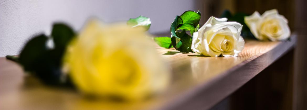 Bestattungsinstitut Fritz Forstmeier GmbH, Friedrich-Ebert-Straße 11 in Fürth