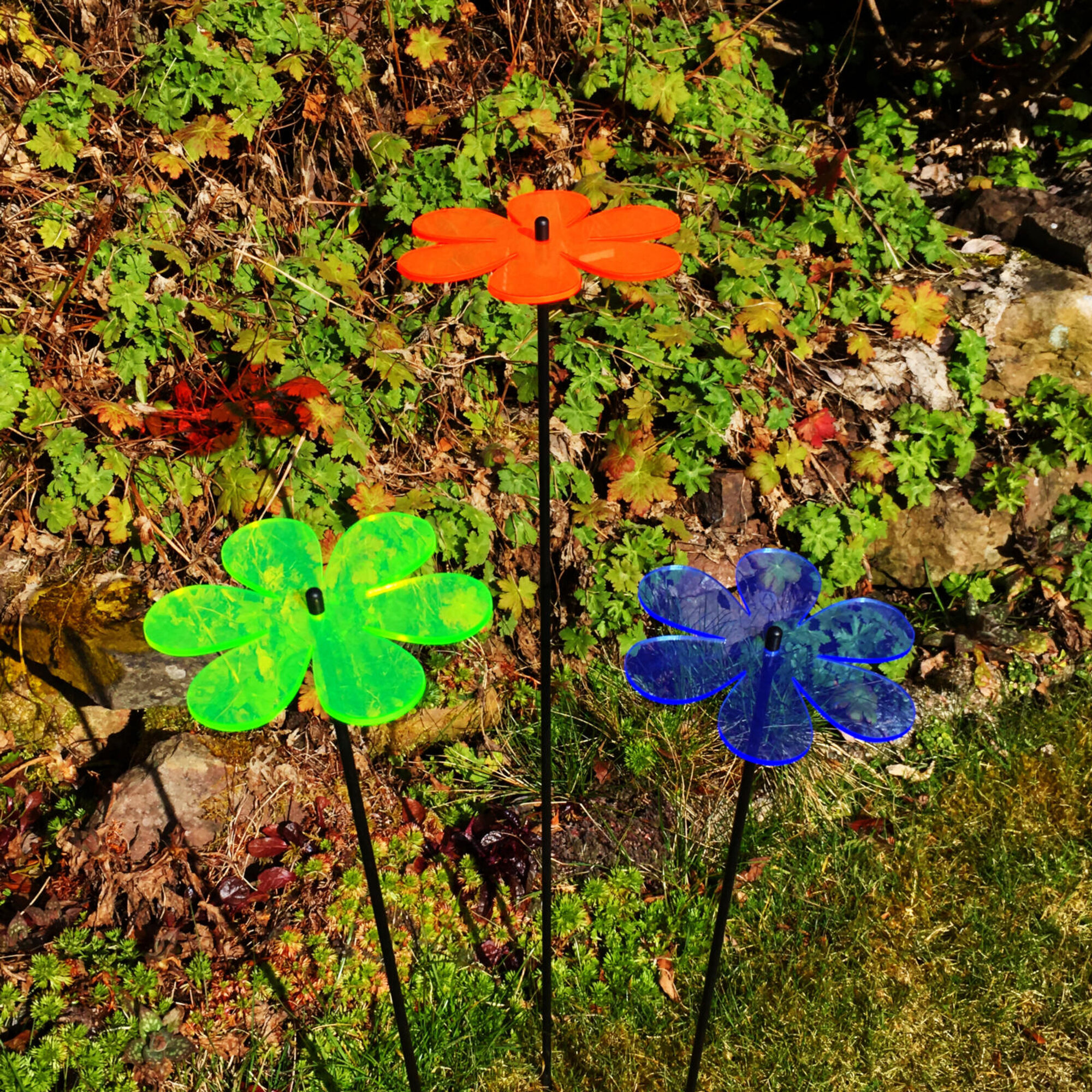 Images SunCatcher Ltd.