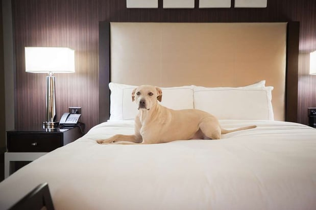 Images Hilton Salt Lake City Center