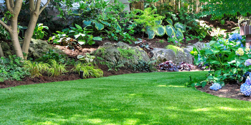 We offer a variety of lawn care services to keep your yard looking great.