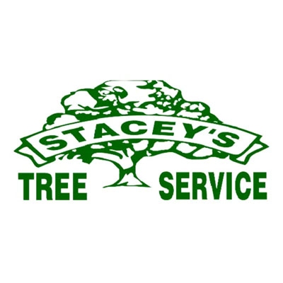 Stacey's Tree Service Logo
